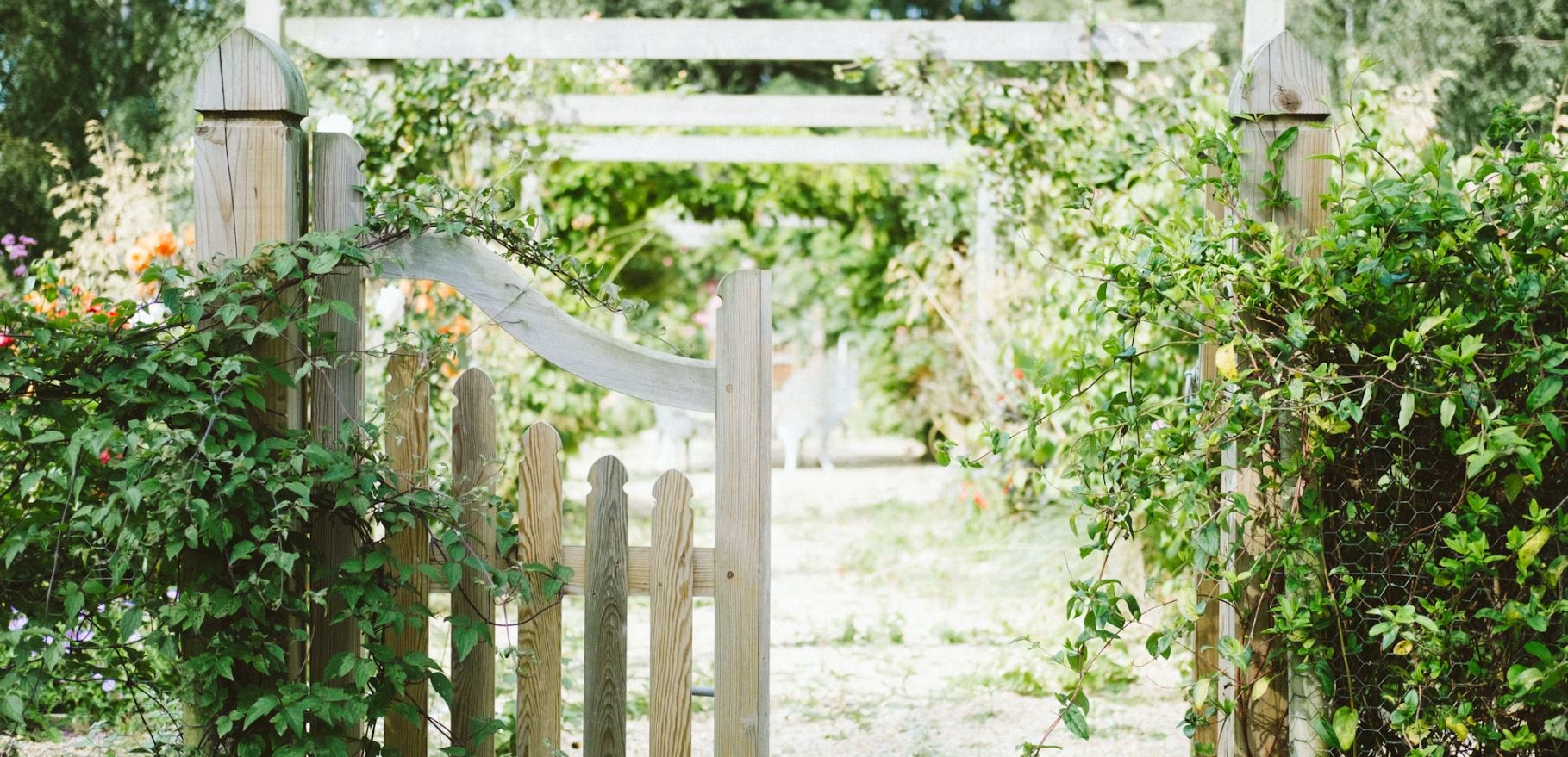 A weathered garden gate opening onto a soft green path